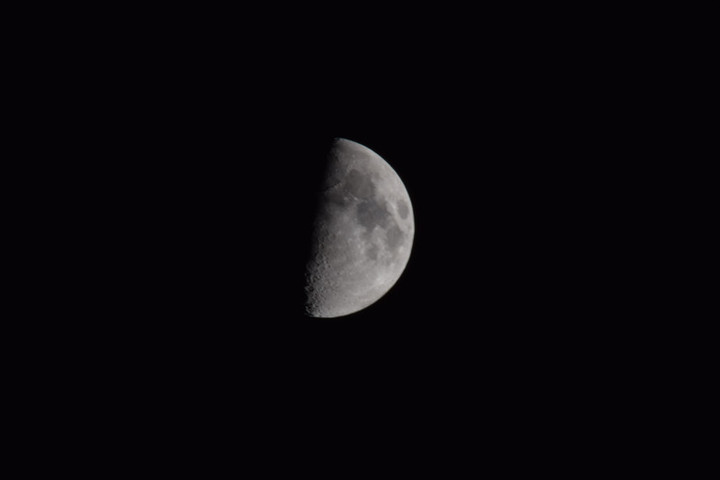 Dsc_0303