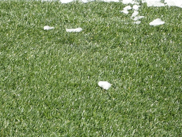 P3080033