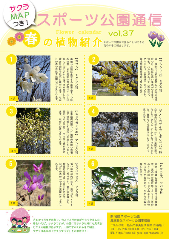 Vol37
