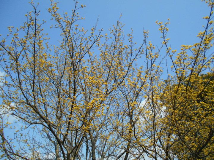 Dscn3559