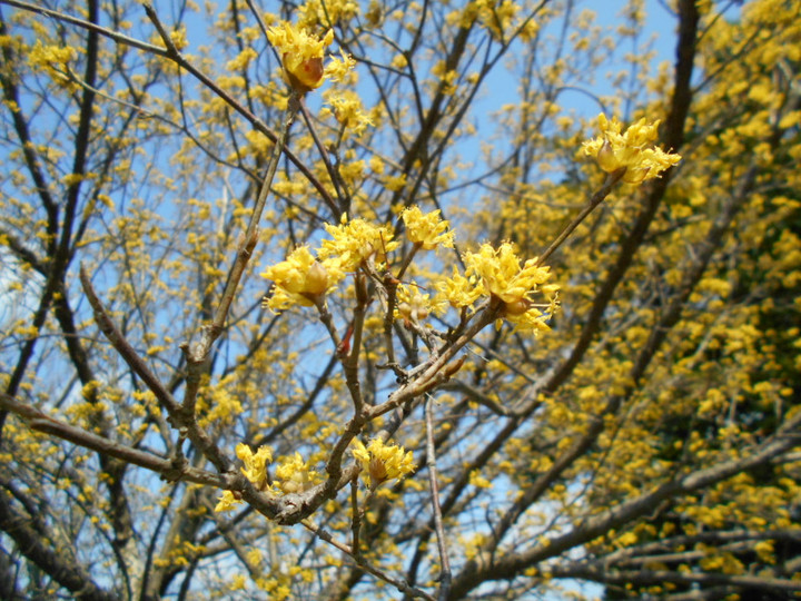 Dscn3560