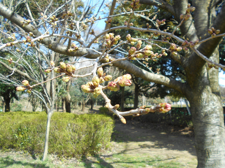Dscn3582