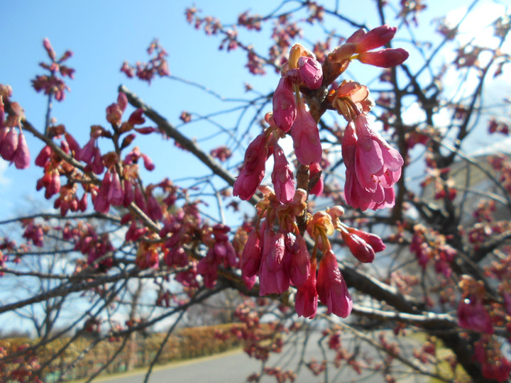 Dscn3584