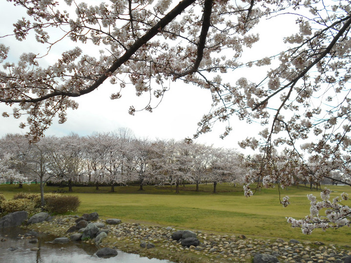 Dscn3807