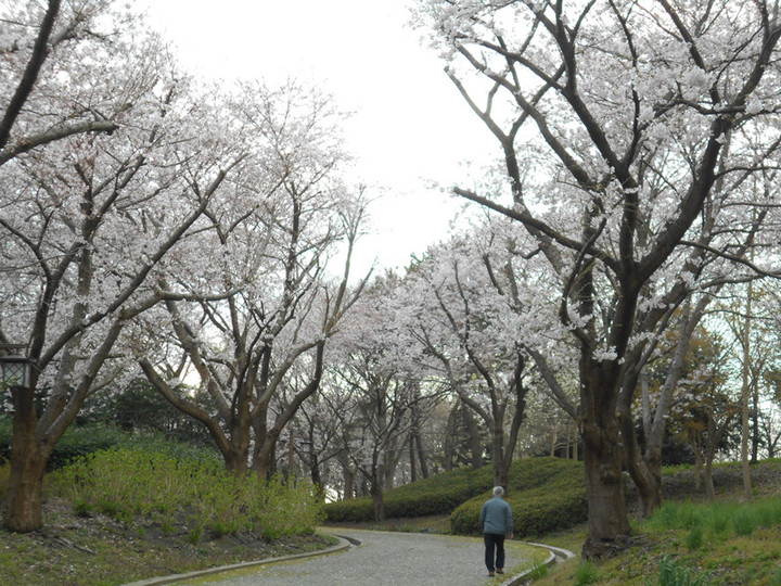 Dscn3825
