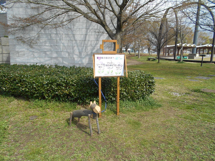 Dscn0085