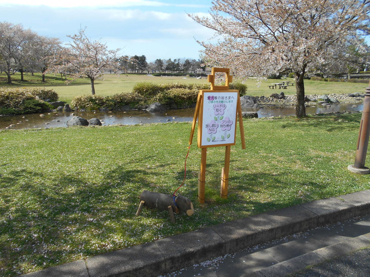 Dscn0088