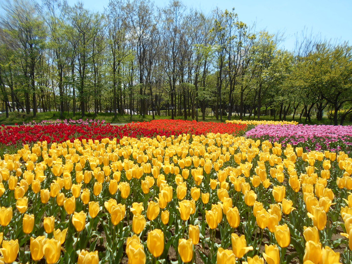 Dscn3707