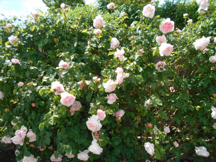 Dscn4309