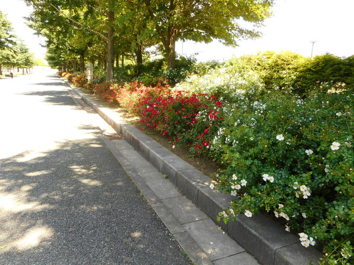 Dscn0137