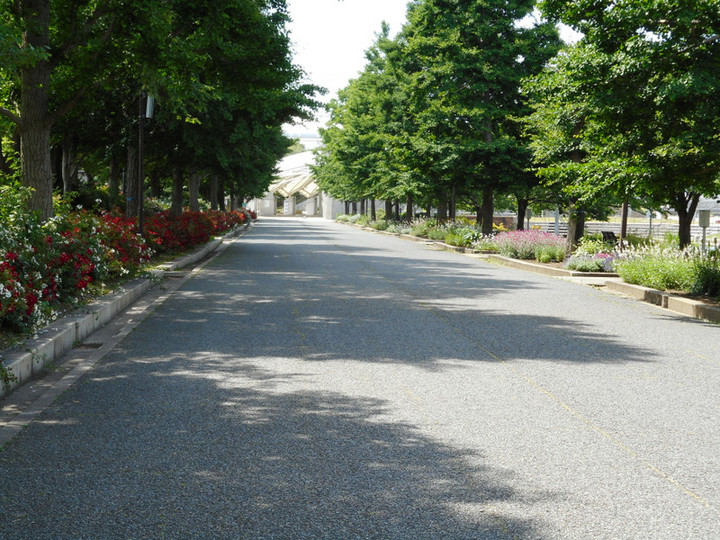 Dscn0231