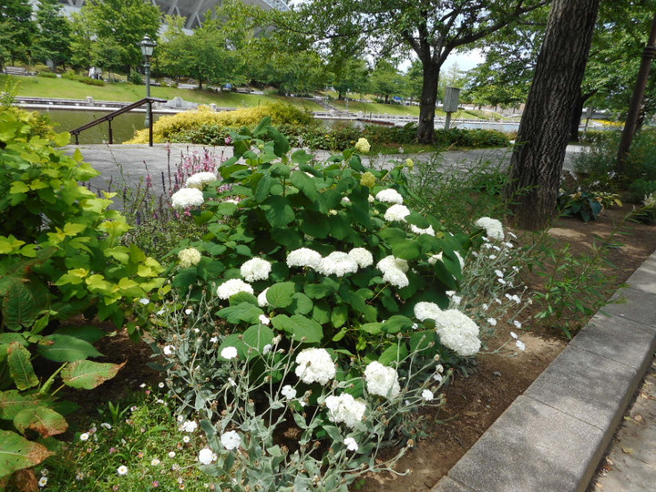 Dscn0495