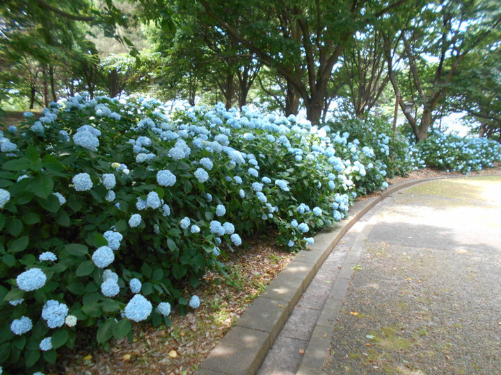 Dscn4538