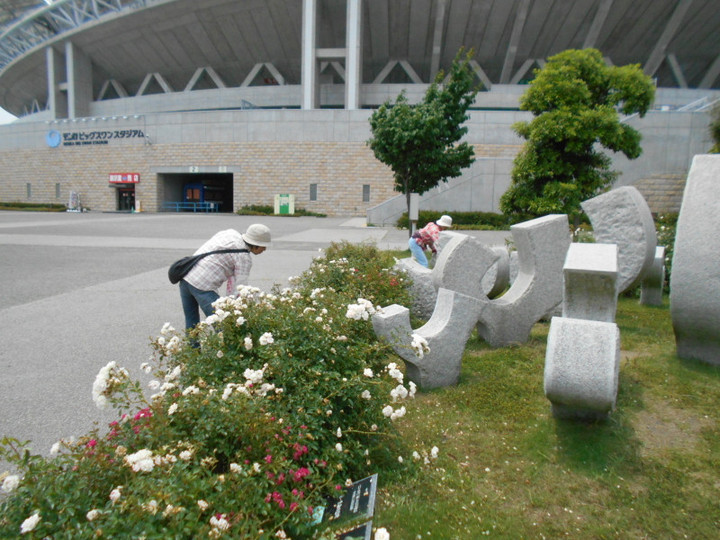 Dscn4508