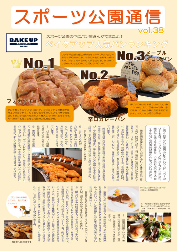 Vol381