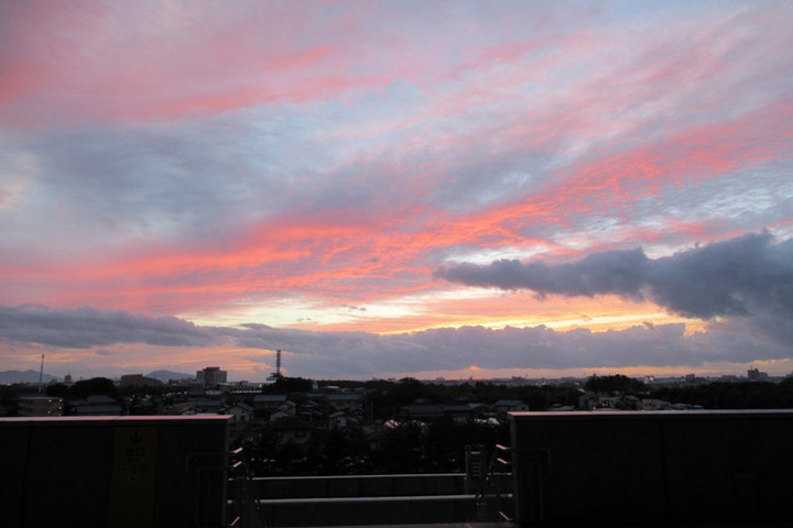 Img_5875_3