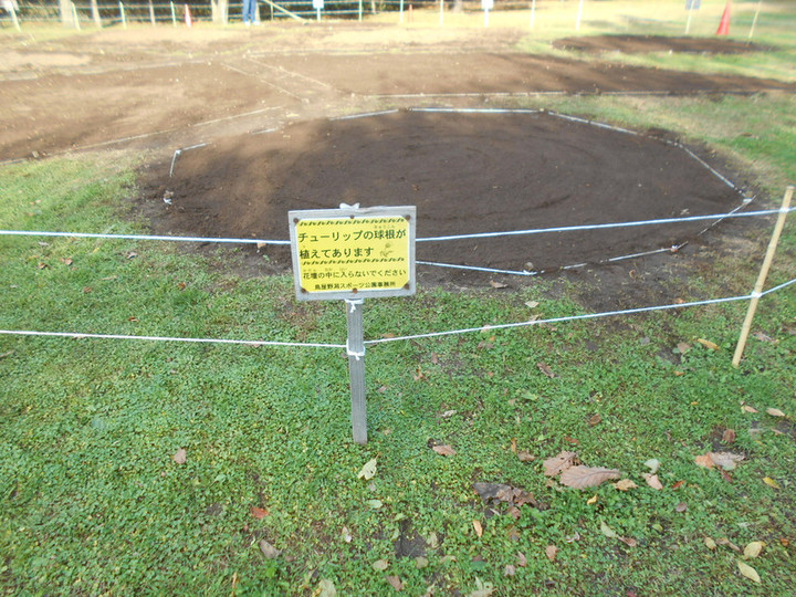 Dscn6379