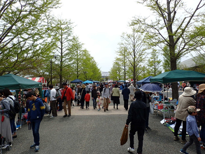 Photo_4