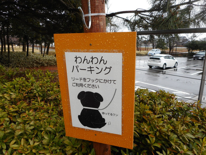 Dscn2738