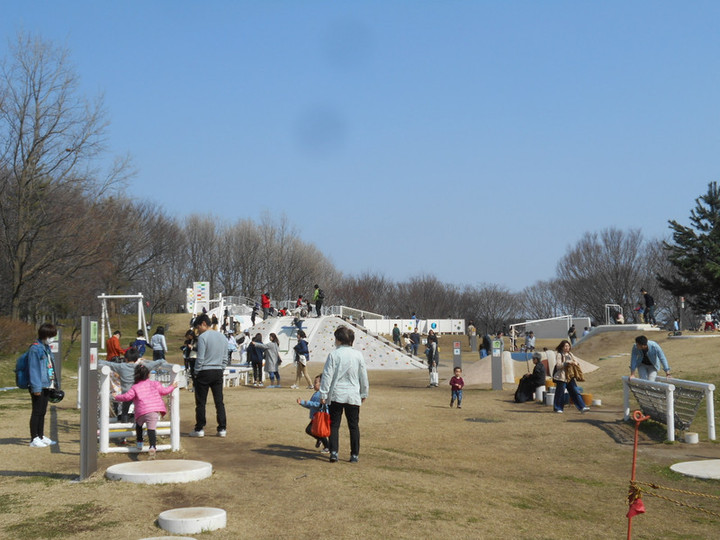 Dscn3000