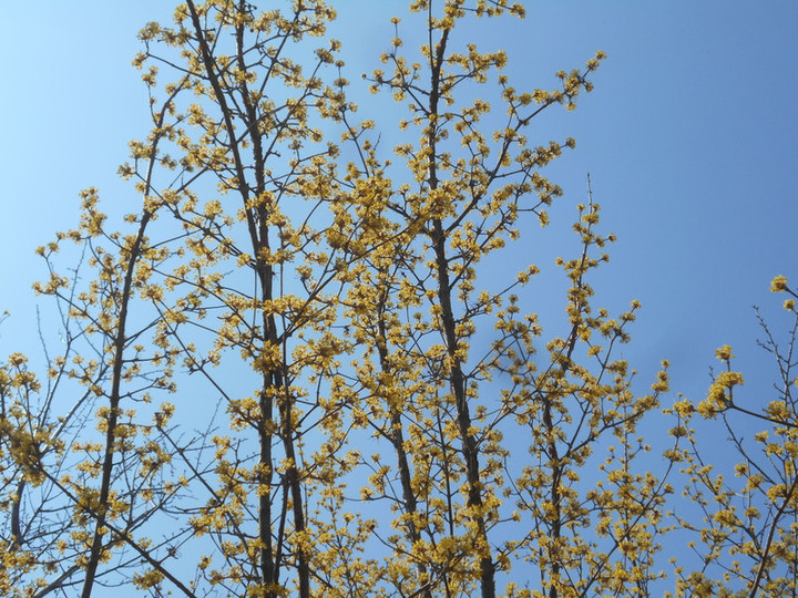 Dscn3004