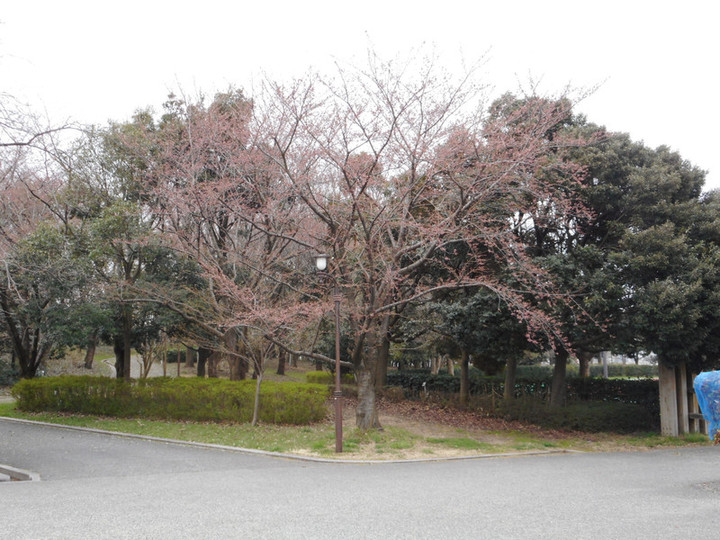 Dscn3246