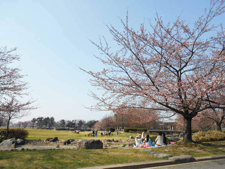 Dscn8647_3