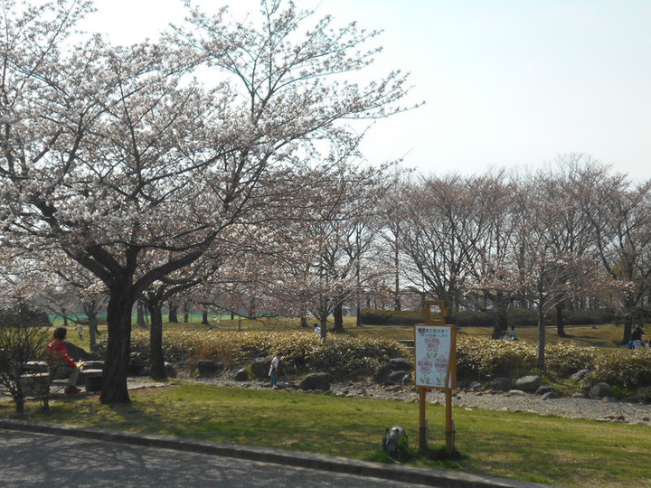 Dscn8648