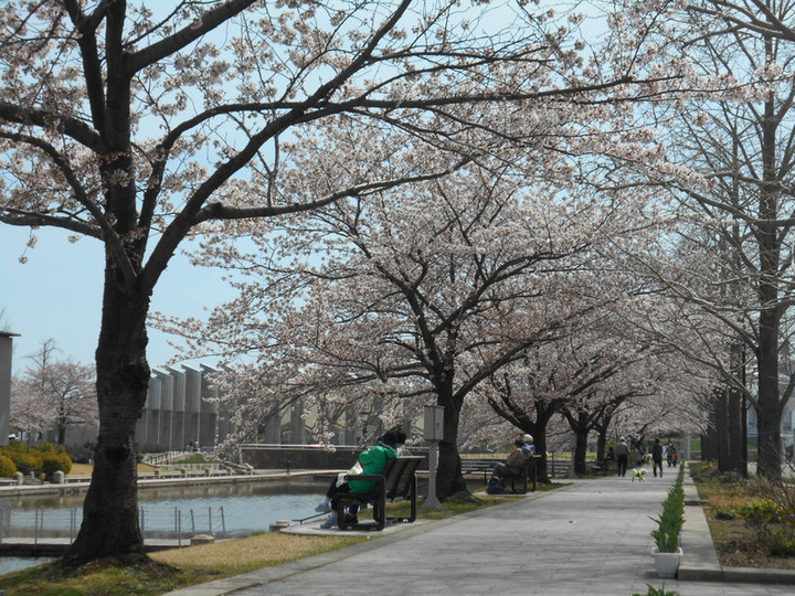 Dscn8658