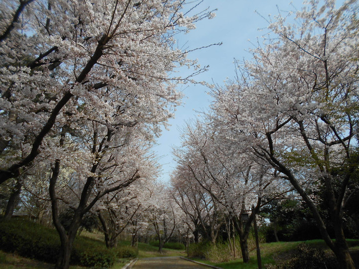 Dscn8685