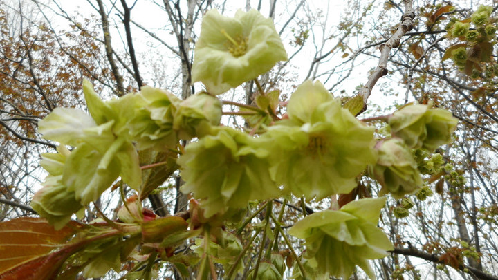 Dscn3414_2