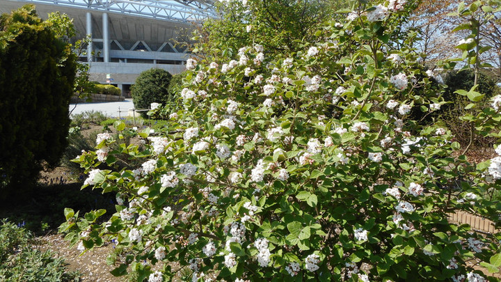 Dscn3445
