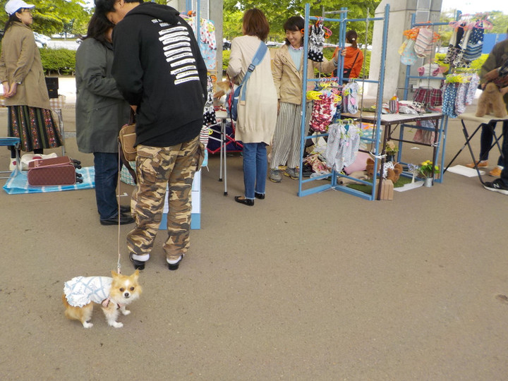 Dscn0096