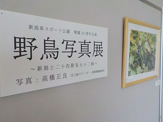 Dscn0248