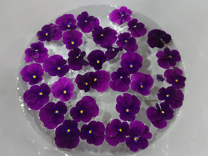 Dscf0436