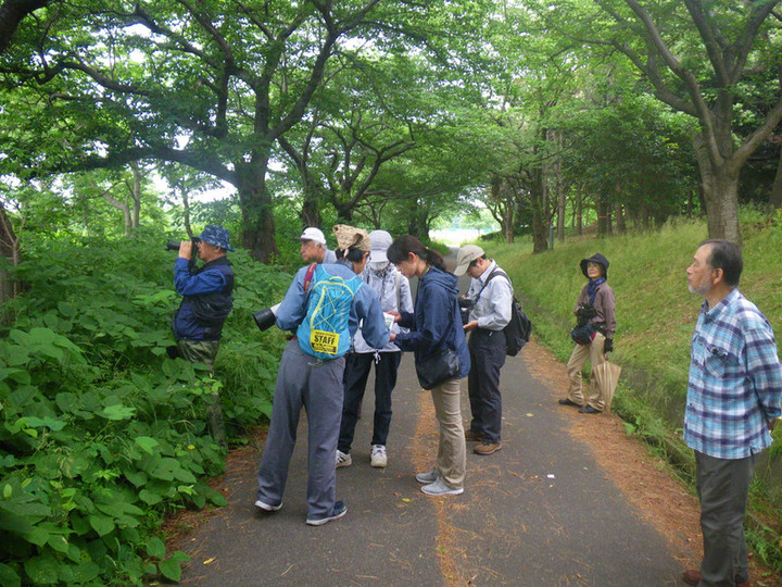 Imgp2554