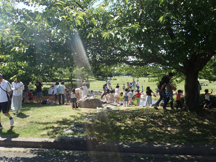 P6170014