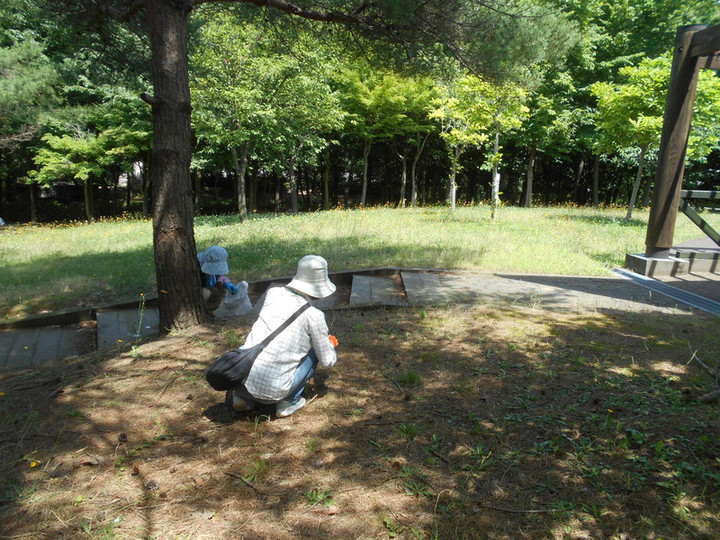 Dscn3743