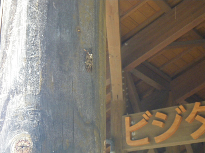 Imgp0052_2