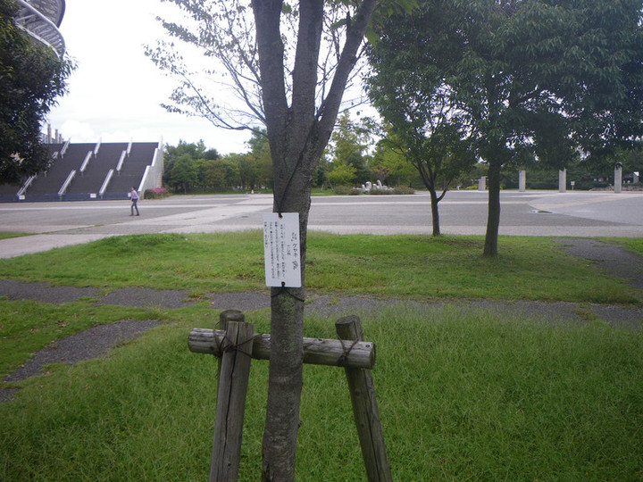 Imgp0267