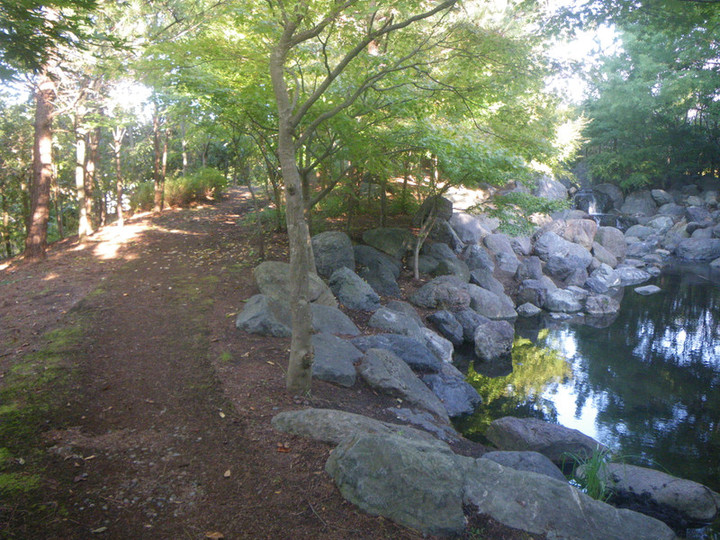 Imgp0409