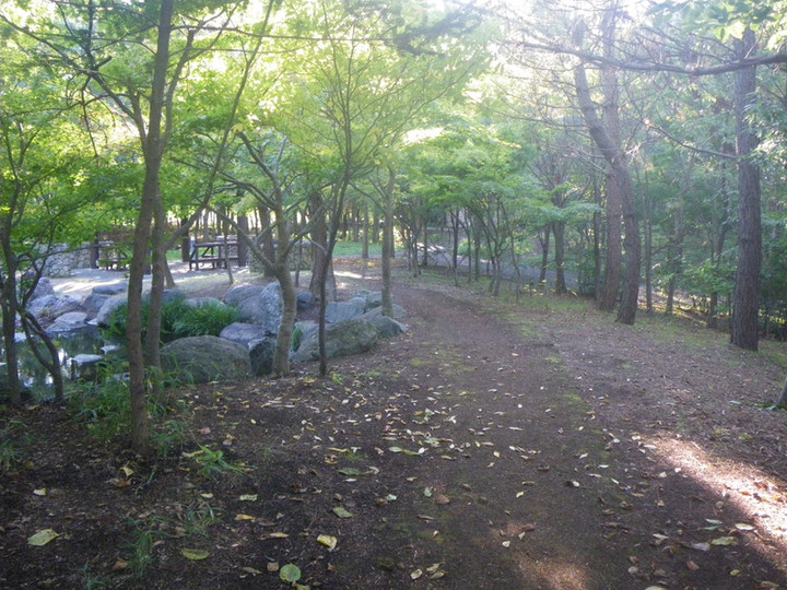 Imgp0411
