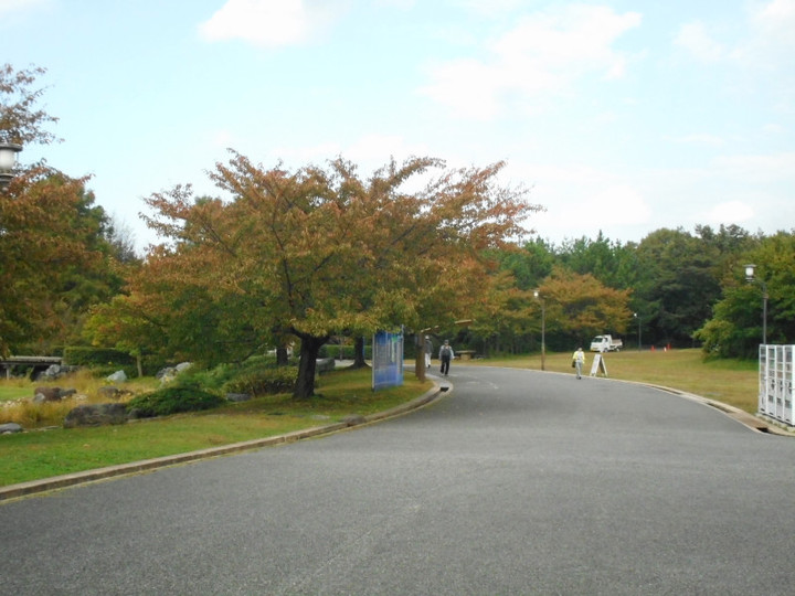 Dscn5813