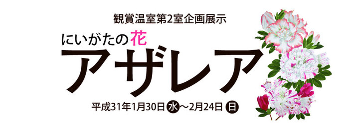 50870622_981367352073903_47890084_2