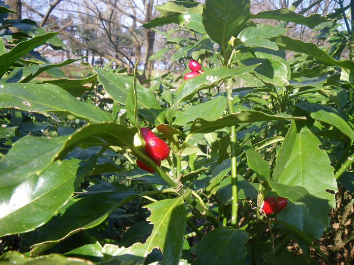 Imgp7127