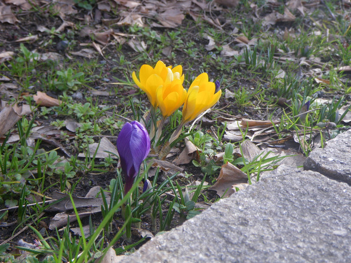 Imgp1419