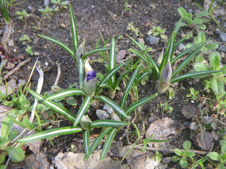 Imgp1420