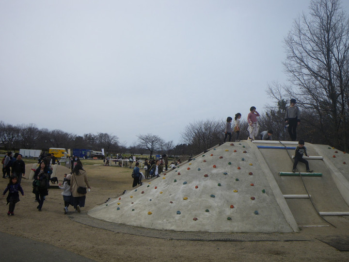 Imgp1484