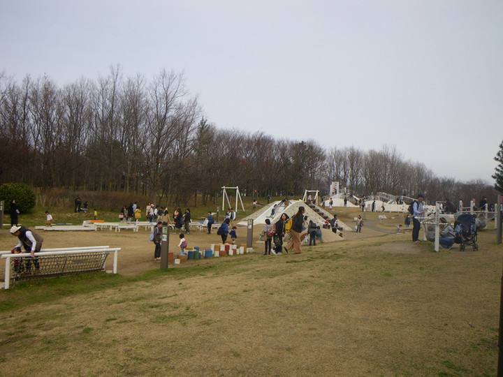 Imgp1485