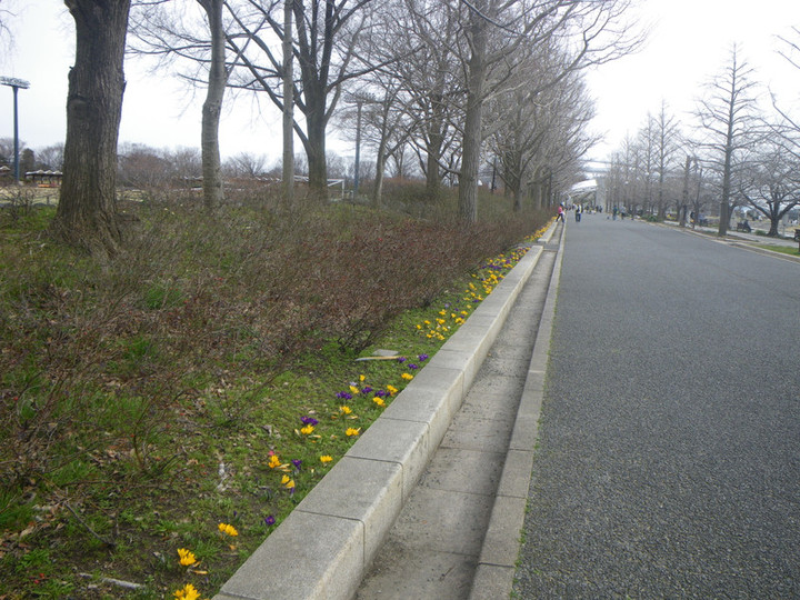 Imgp1490